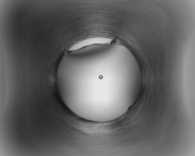 X0000089680040200707201709