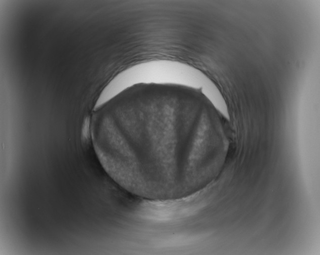 X0000089680041200707201709