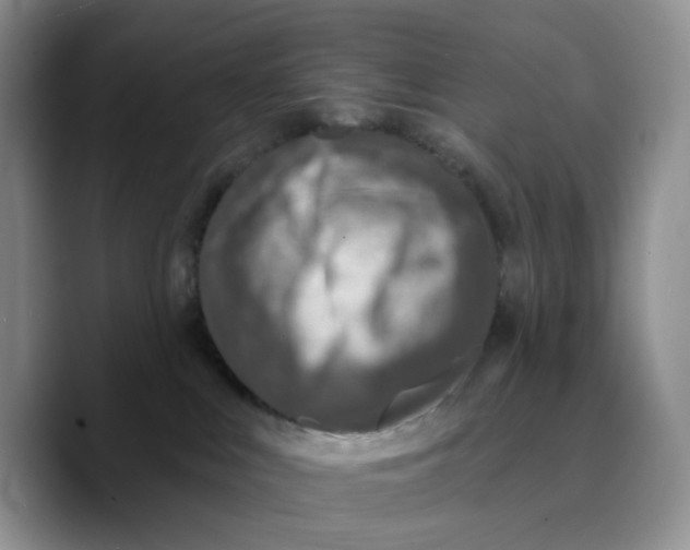 X0000089680043200707201709