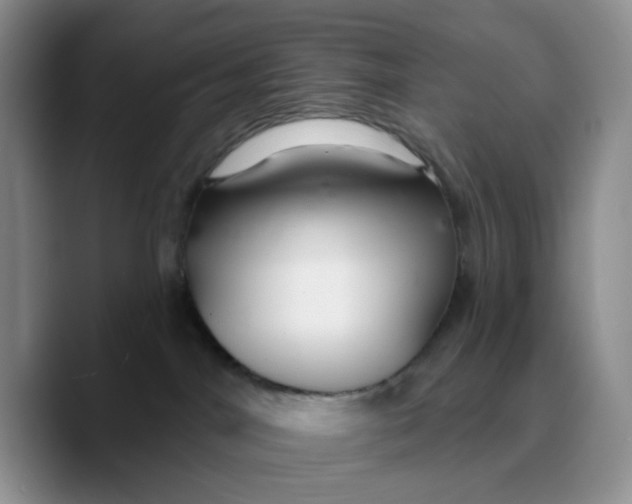 X0000089680044200707201709