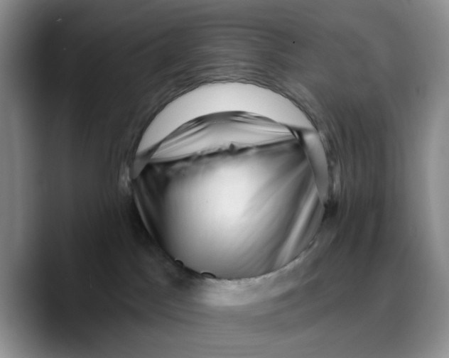 X0000089680045200707201709