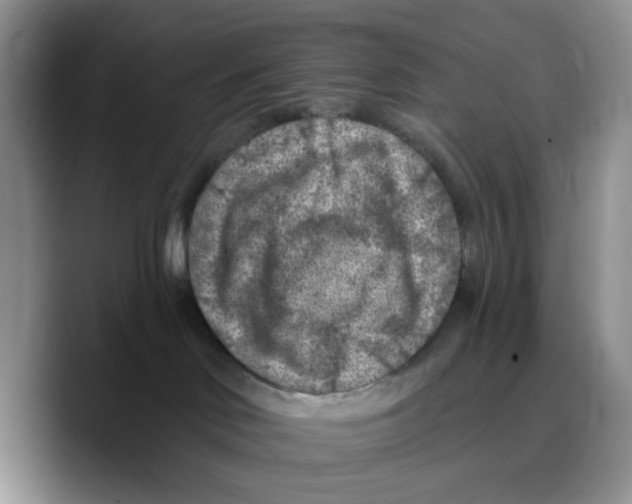 X0000089680046200707201709