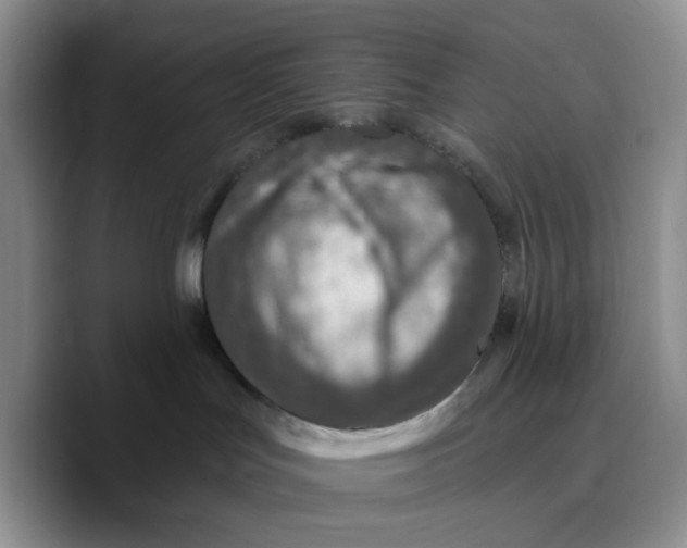 X0000089680047200707201709