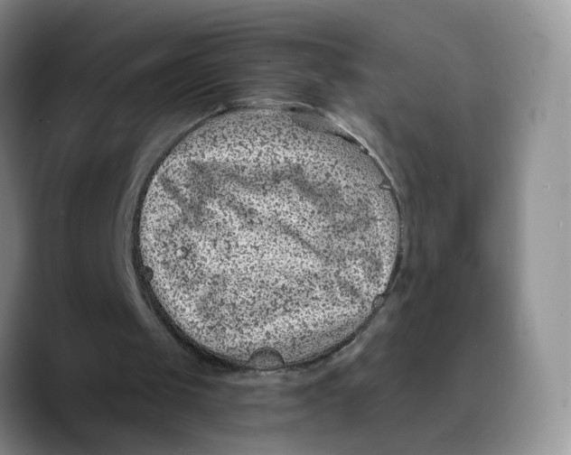 X0000089680049200707201708