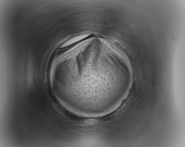 X0000089680050200707201708