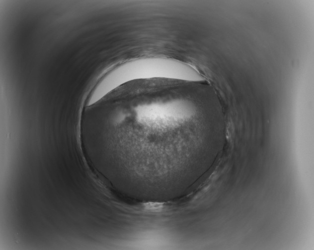 X0000089680052200707201708