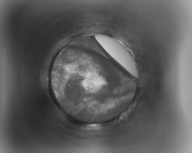 X0000089680053200707201708