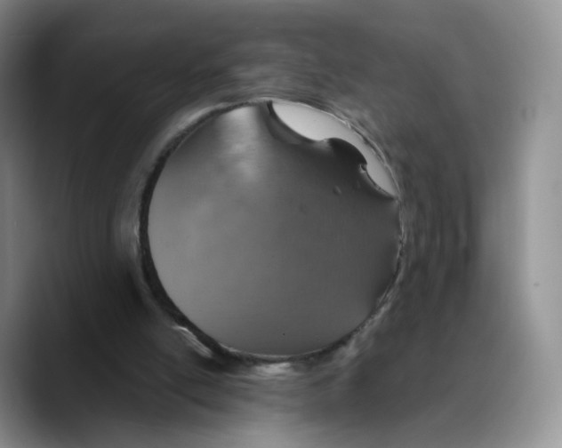 X0000089680054200707201708