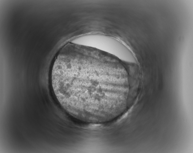 X0000089680055200707201708