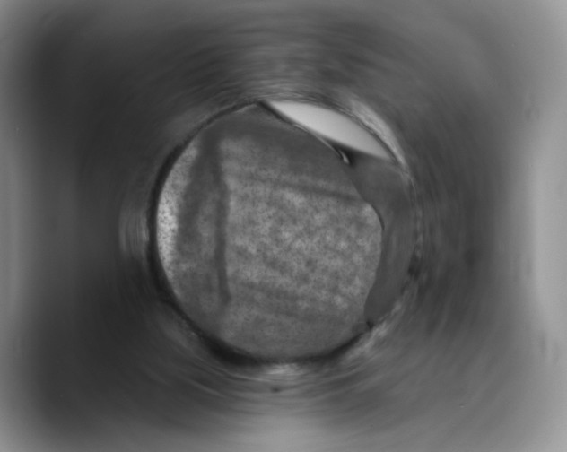 X0000089680059200707201708