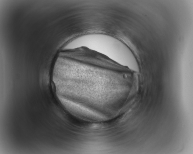 X0000089680060200707201708