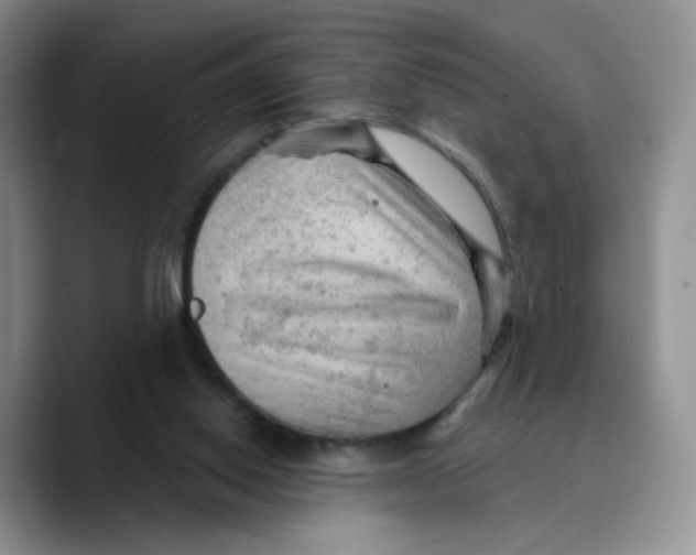 X0000089680062200707201708