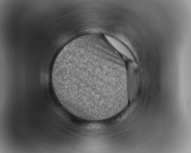 X0000089680063200707201708