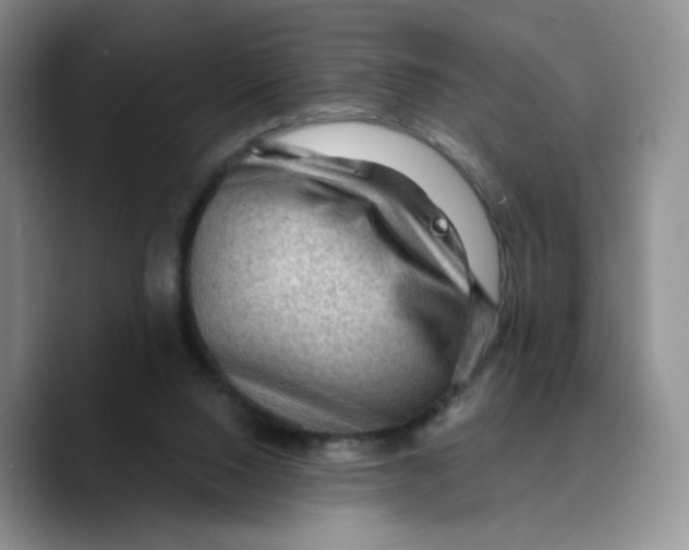 X0000089680064200707201708