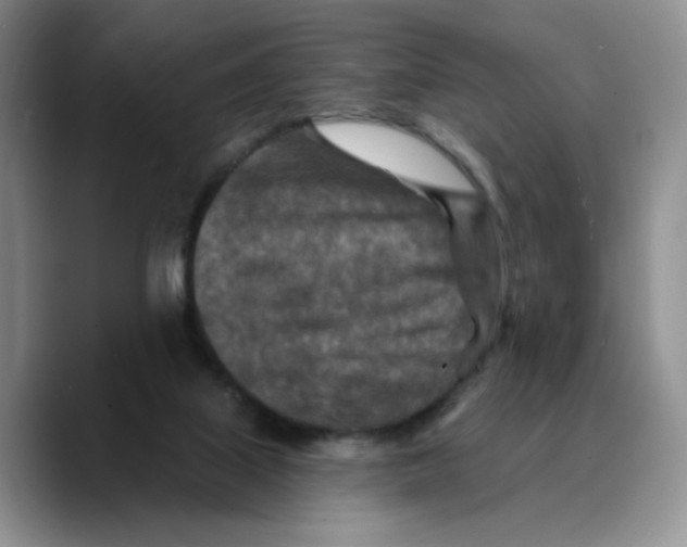 X0000089680067200707201708