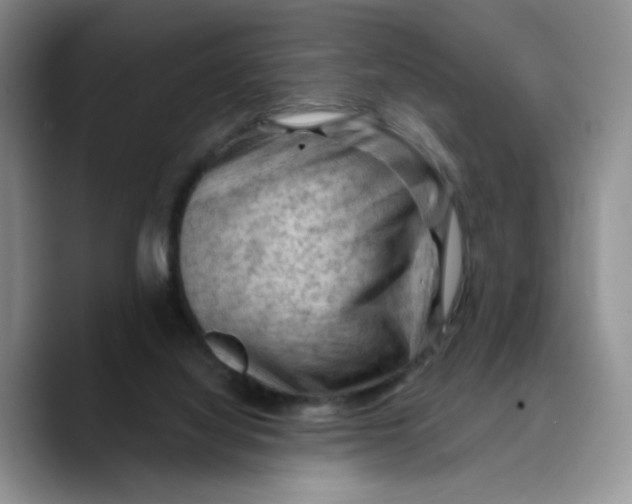X0000089680068200707201708