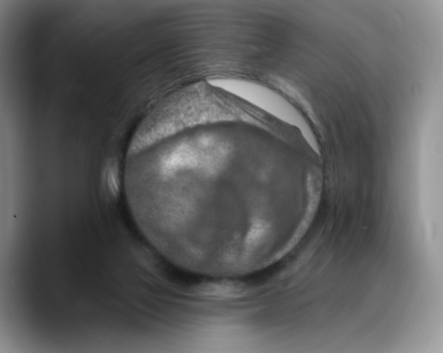 X0000089680069200707201708