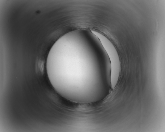 X0000089680070200707201708