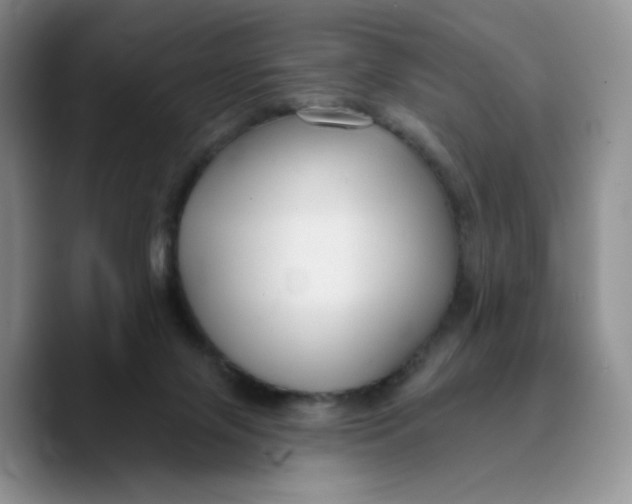 X0000089680071200707201708