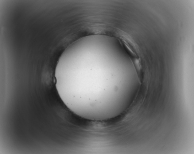 X0000089680073200707201708