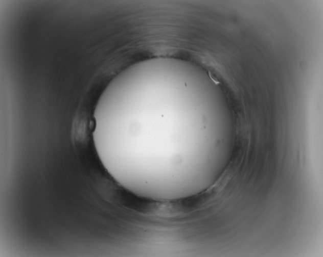 X0000089680074200707201708