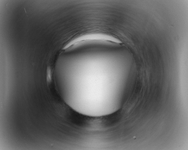 X0000089680075200707201708