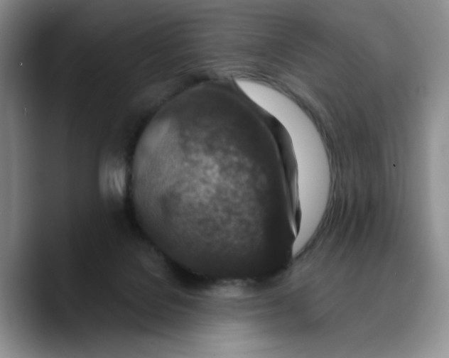 X0000089680076200707201708