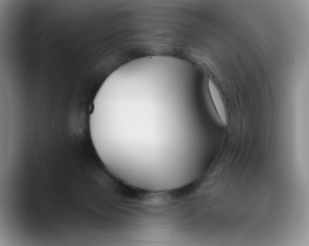 X0000089680077200707201708