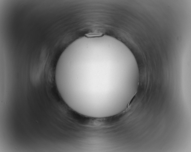 X0000089680078200707201708