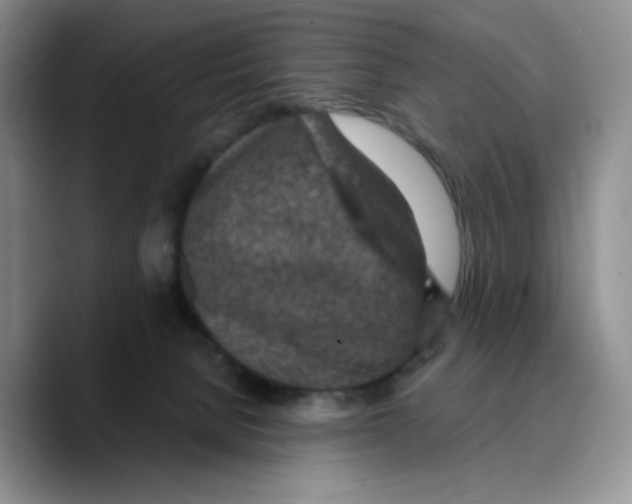 X0000089680080200707201708