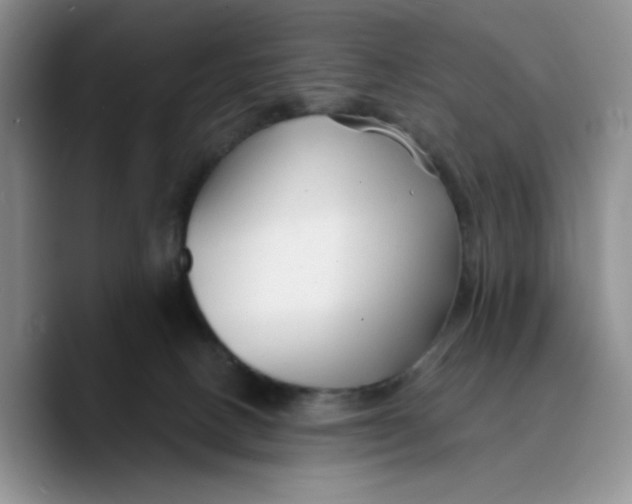 X0000089680082200707201708