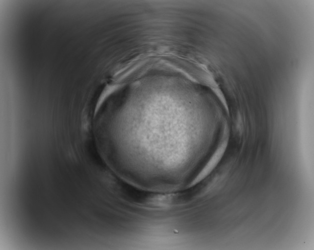 X0000089680084200707201708
