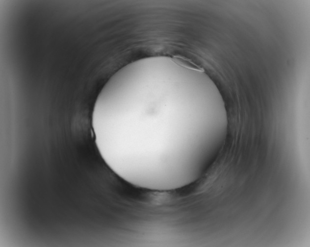 X0000089680085200707201708