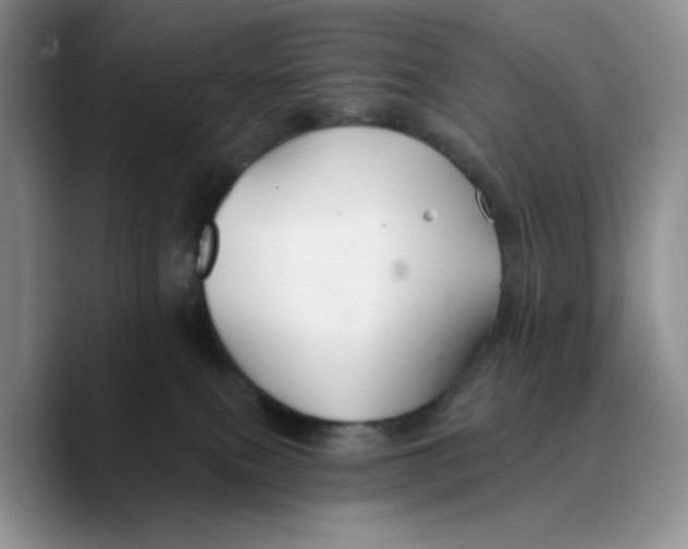 X0000089680087200707201708