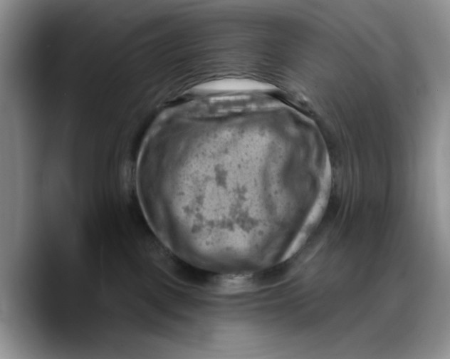 X0000089680093200707201708