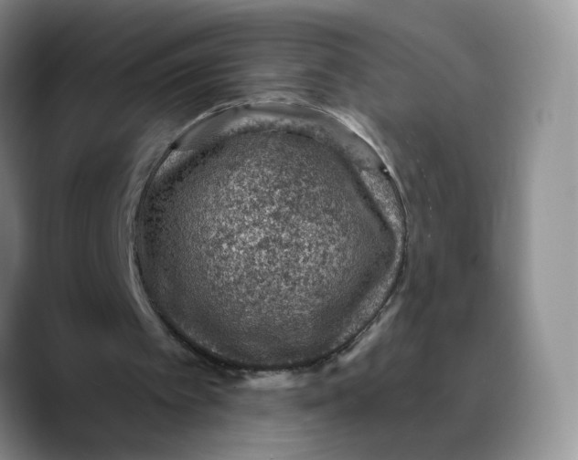 X0000089680097200707201708