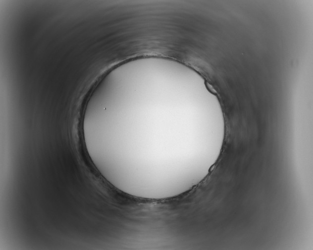 X0000089680098200707201708