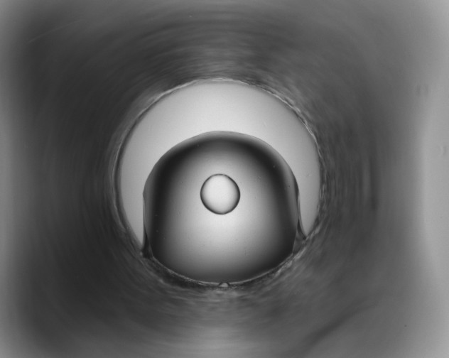 X0000089680099200707201708