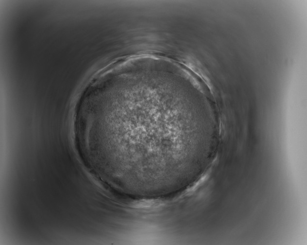 X0000089680101200707201708