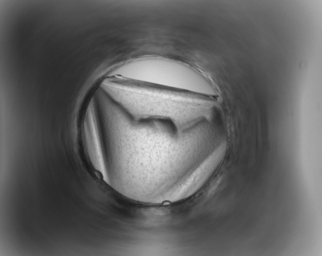 X0000089680102200707201708