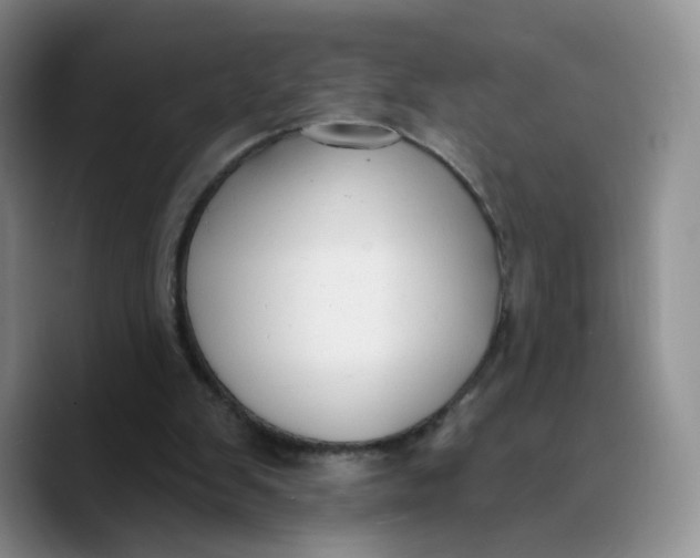 X0000089680103200707201708