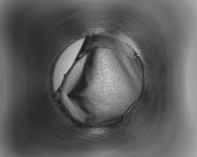 X0000089680105200707201708