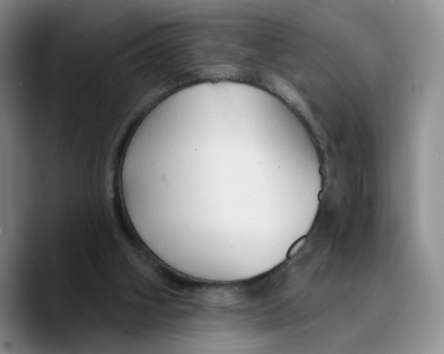 X0000089680106200707201708