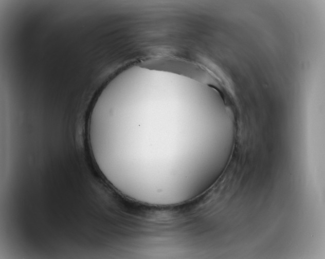 X0000089680107200707201708