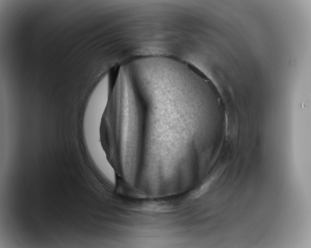 X0000089680109200707201708