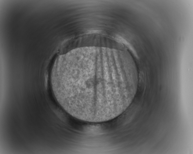 X0000089680110200707201708