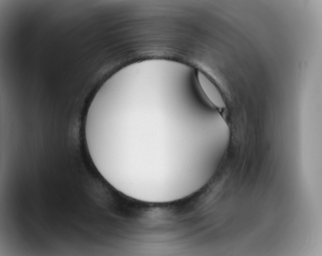 X0000089680111200707201708