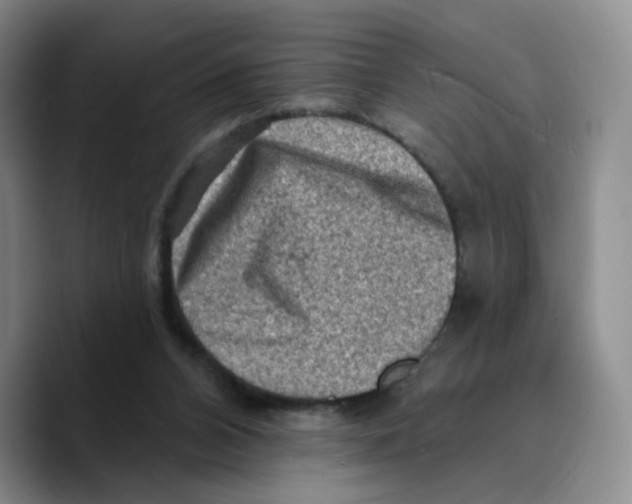 X0000089680112200707201708