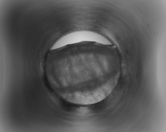 X0000089680114200707201708