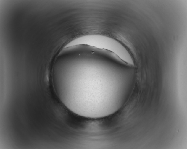 X0000089680115200707201708